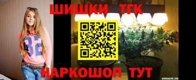 мдпв Дмитров